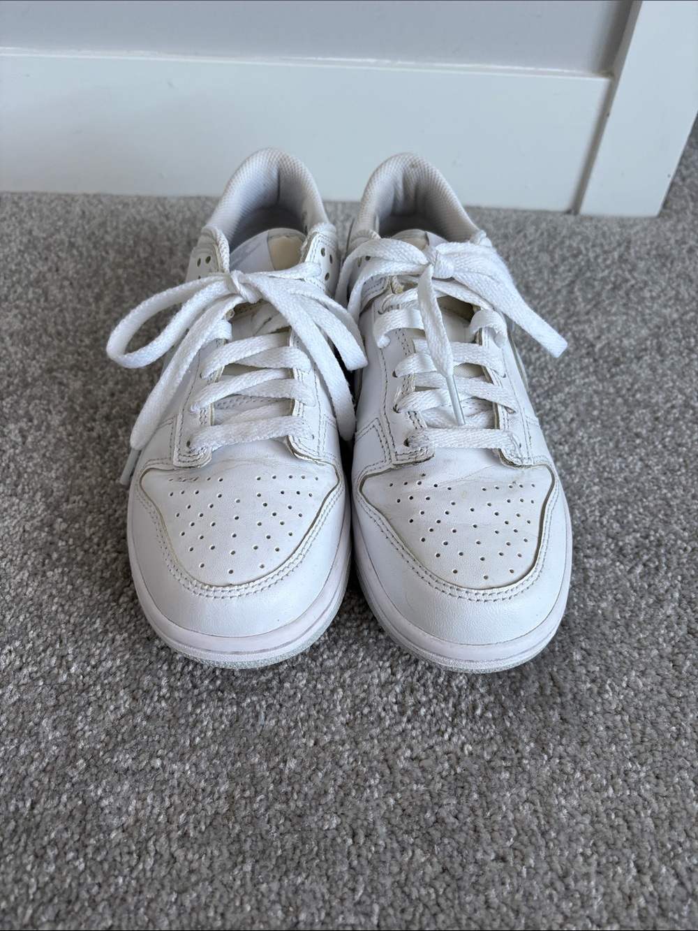 Kids Nike Dunk Low